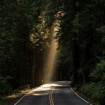 Welcome to Our Blog